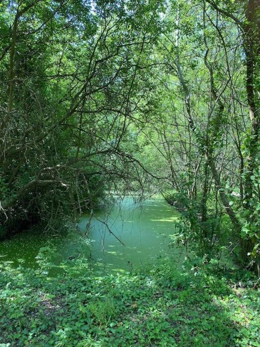 Maison Neuve Zone Coulee Verte Menant A L'Ocean Saint-Gilles-Croix-de-Vie Esterno foto